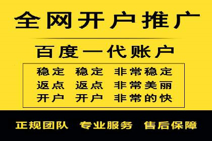 某某SEM团队成功提升网站流量与转化率的实战经验